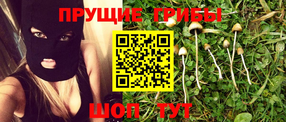Псилоцибиновые грибы прущие грибы Феодосия