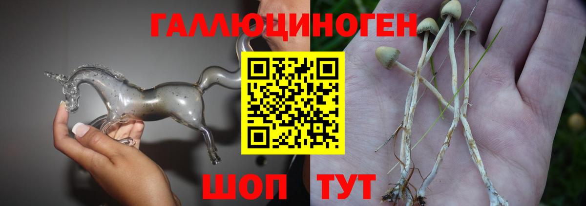 купить  сайты  Псилоцибиновые грибы MAGIC MUSHROOMS  Вход с VPN  Галлюциногенные грибы ЛСД  Феодосия 
